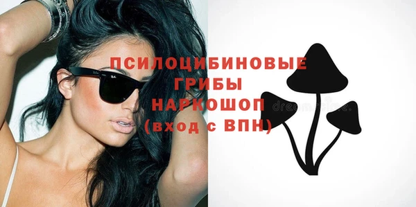 ГАЛЛЮЦИНОГЕННЫЕ ГРИБЫ Верхний Тагил