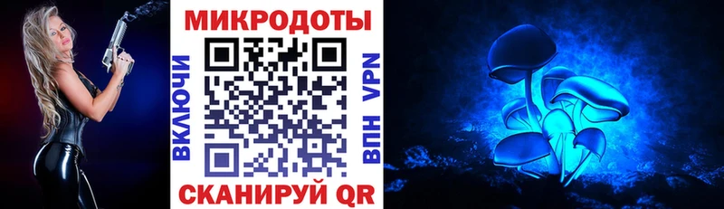 Псилоцибиновые грибы мицелий  купить  сайты  MEGA зеркало  Поворино 